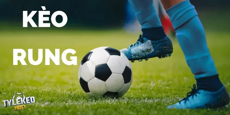 Kèo Nhà Cái 5: Thánh Địa Kèo Rung Cho Bet Thủ Săn Lời