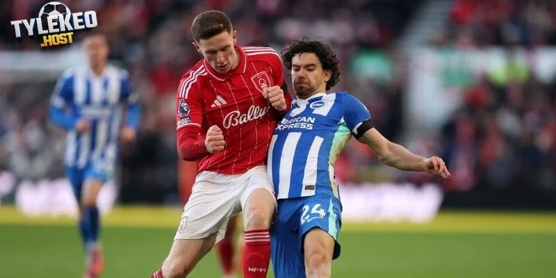 Thực lực Brighton vs Notiingham
