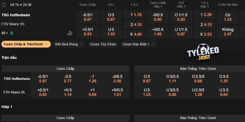Nhận định kèo Hoffenheim vs Mainz
