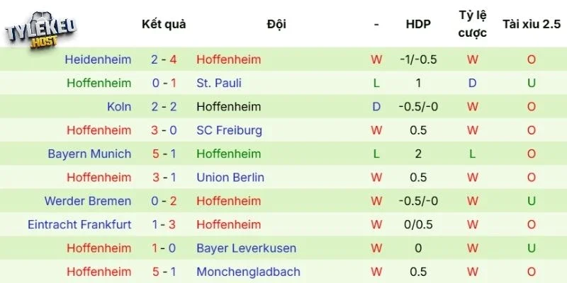 Phong độ của Hoffenheim
