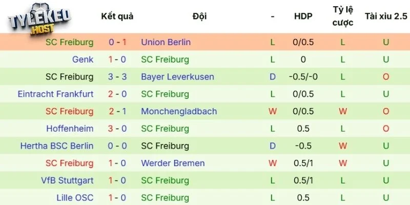 Tổng hợp thành tích gần nhất của Freiburg